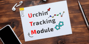 UTM parameters- Urchin Tracking Module. Specialized parameter in the URL