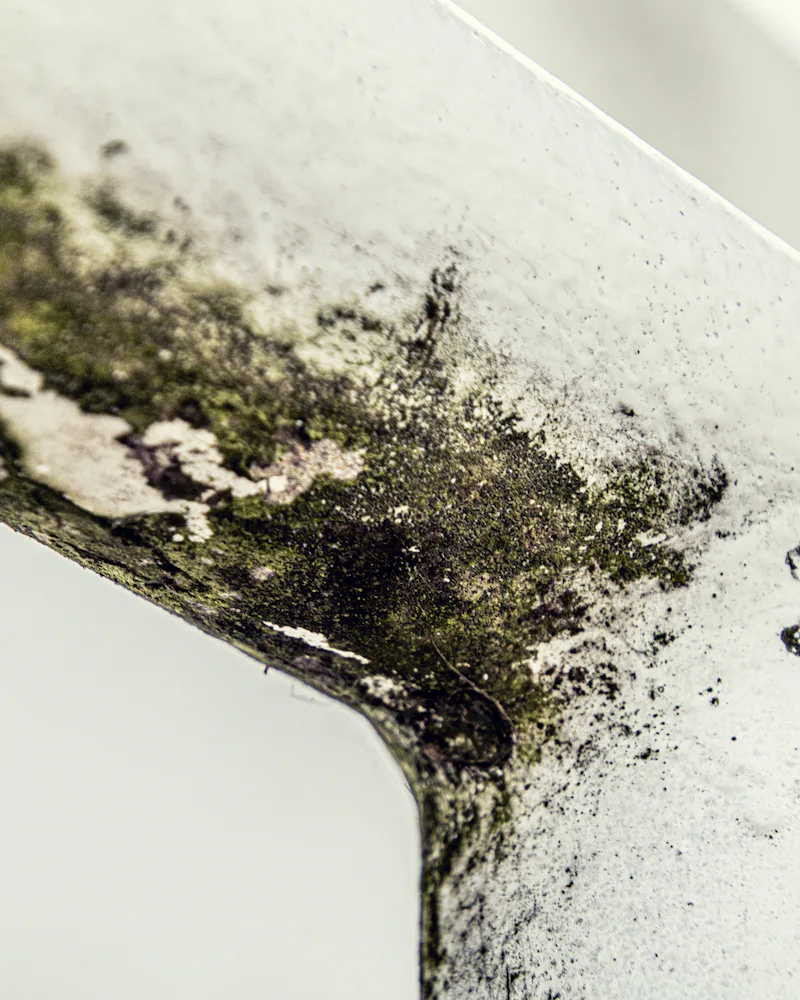 Mold growth in the corner of a ceiling