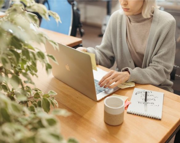 Untitled design - 2025-11-03T113346.896