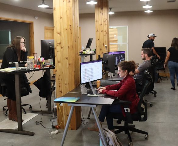 digital marketing agency working on ppc