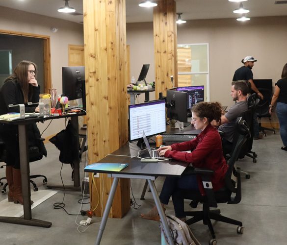 digital marketing agency working on ppc